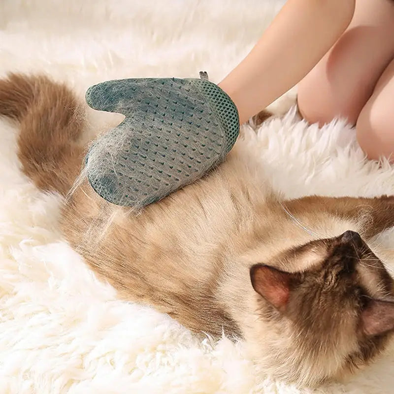 Double-Sided Pet Grooming Glove - Gentle Massage & Hair Removal Tool for Dogs & Cats