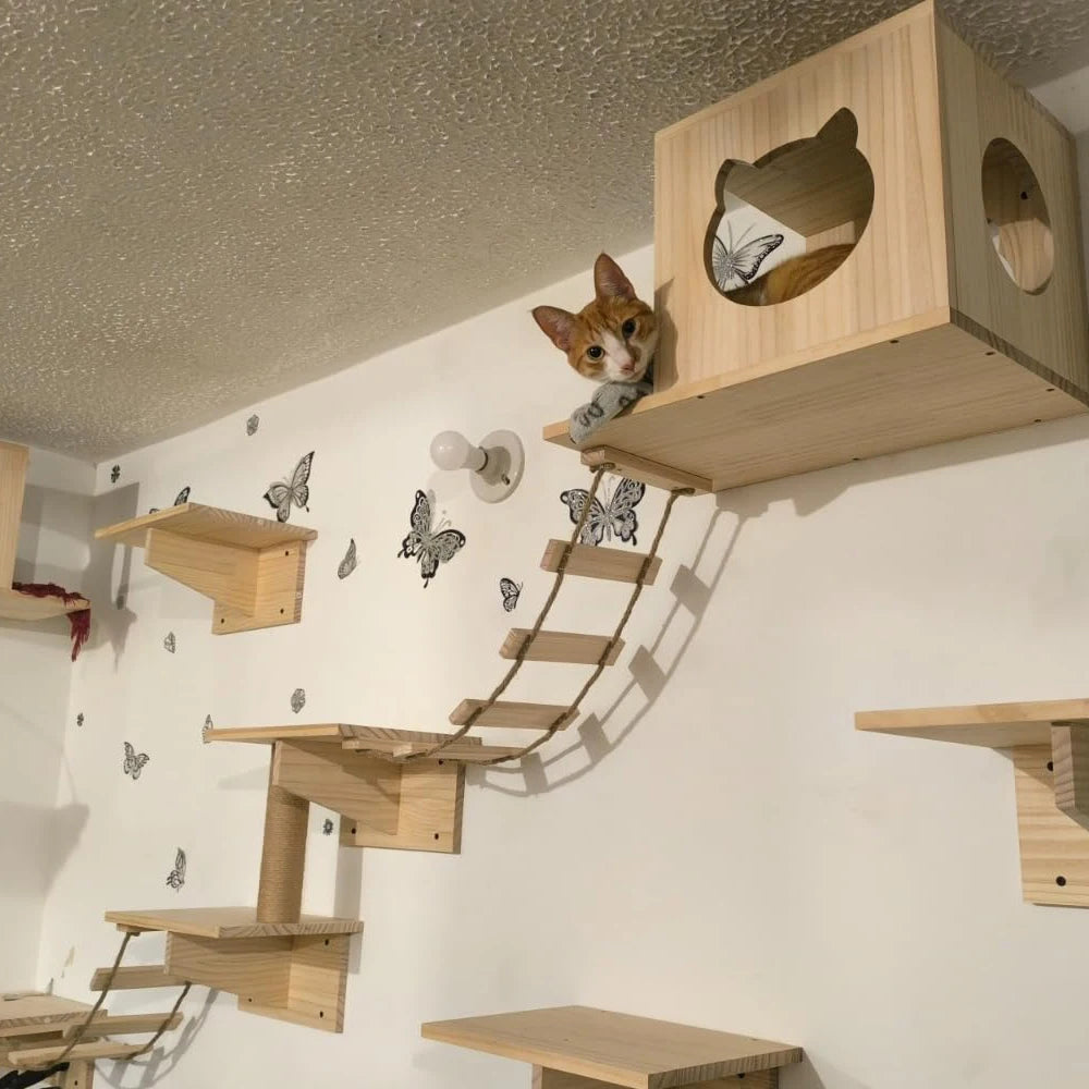 Cat Wall Furniture Wall-Mounted Cat Climber Set with Cat Wall Shelves  Perches Condo House Ladder Scratching Board & Tree   Wood