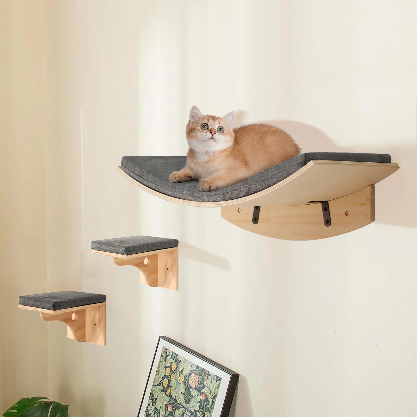 Indoor Wall-Mounted Cat Shelf Soft Cushioned Bed & Perch for Kittens & Adult Cats Cat Furniture for Climbing Sleeping & Playing