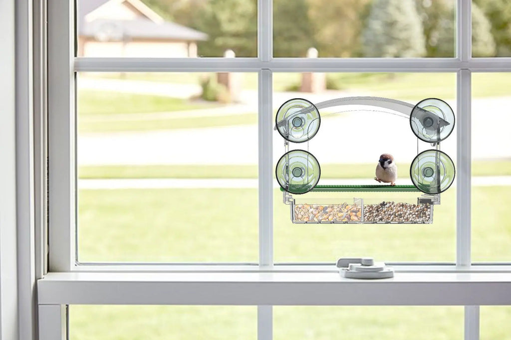 Luxury Parrot Cage - Large Transparent Acrylic Cage for Cockatiels & Budgies