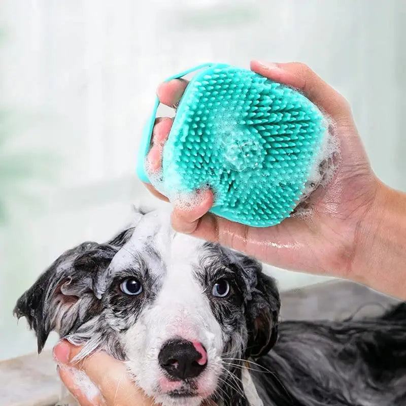 Person holding a turquoise dog grooming ball with a puppy looking at it.