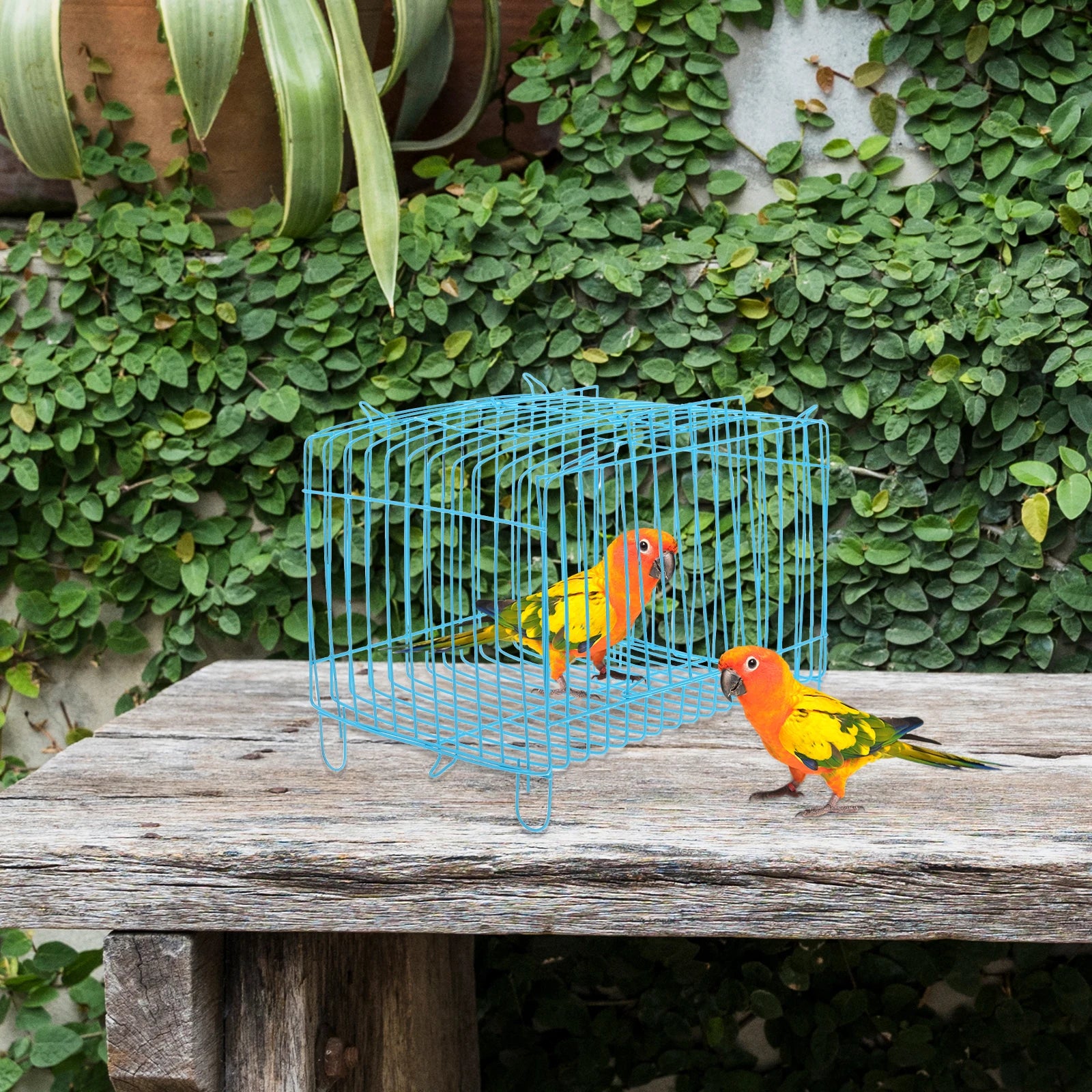 Portable Bird Handcage - Breathable Travel Carrier for Parrots & Small Birds