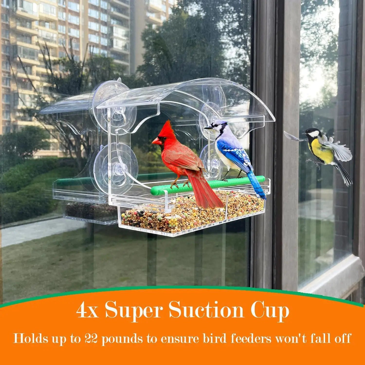 Luxury Parrot Cage - Large Transparent Acrylic Cage for Cockatiels & Budgies