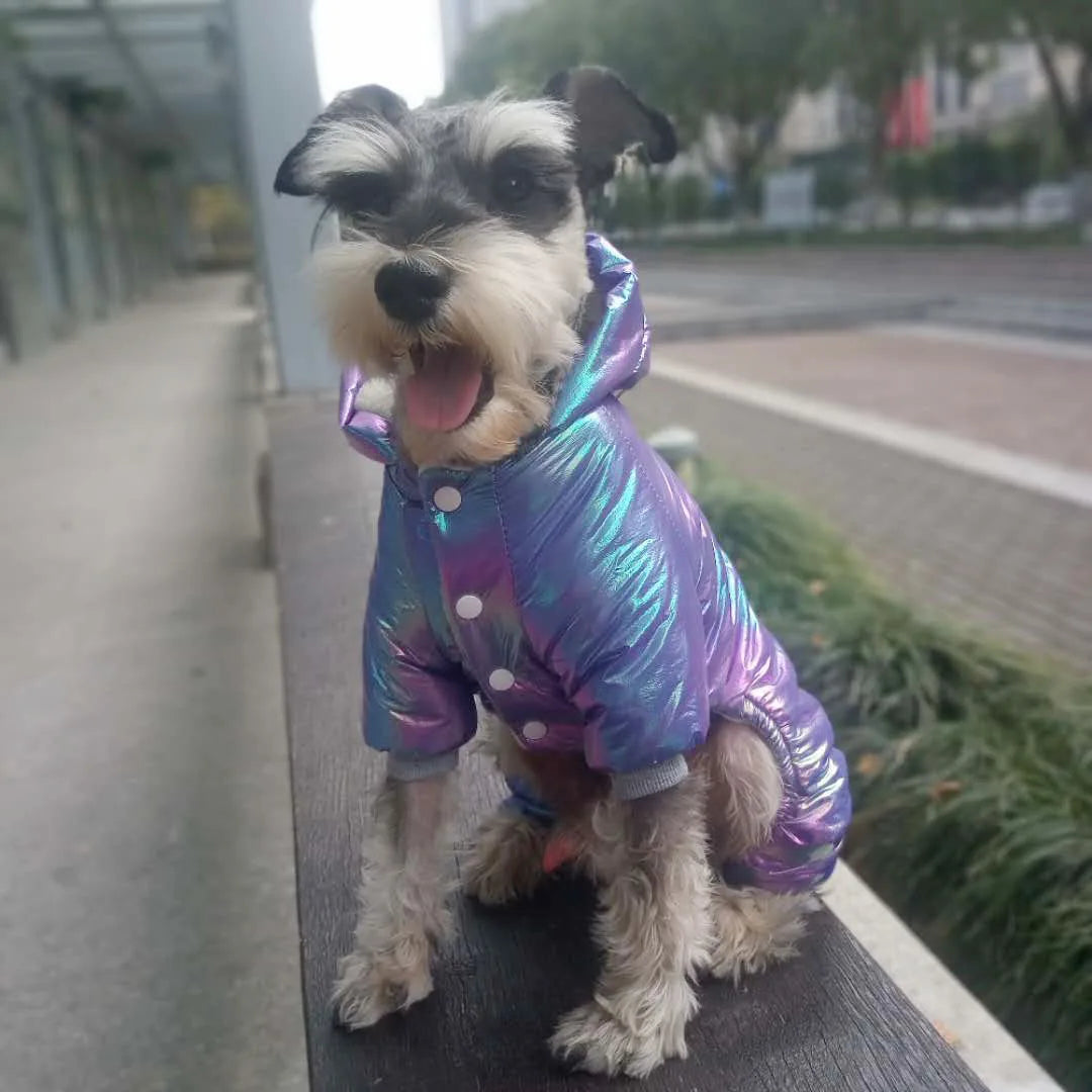 Winter Dog Jacket - Waterproof Padded Coat