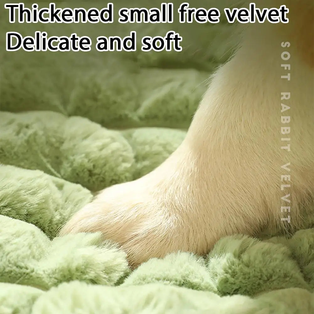 Machine Washable Dog Bed Removable Orthopedic Puppy Cushion Winter Memory Foam Dog Pillow For Small Medium Large Dogs And Cats