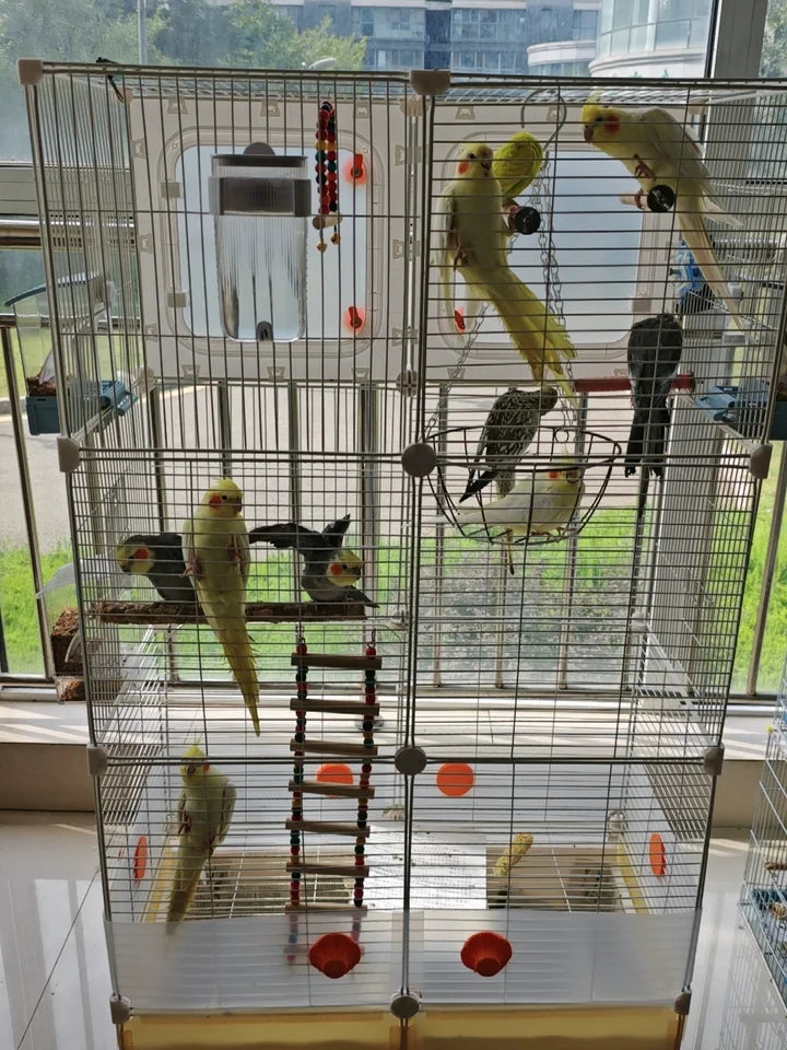 Large Parrot Cage - Anti-Scatter Design for Cockatiels, Macaws & Medium Birds