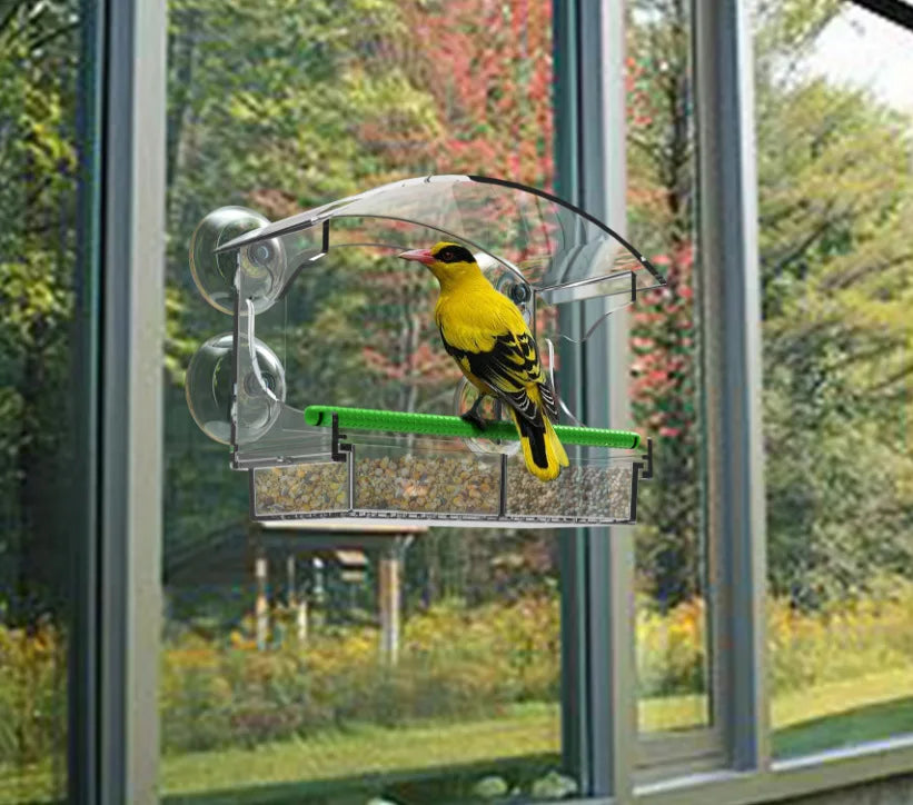 Luxury Parrot Cage - Large Transparent Acrylic Cage for Cockatiels & Budgies