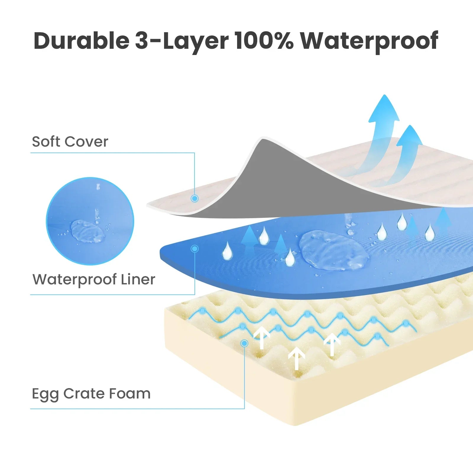 Ultra Plush Deluxe Orthopedic Foam Dog Bed Rectangular Cat Dog Mats / Removable Cover Pet Mattress Cushion for Small Large Dogs